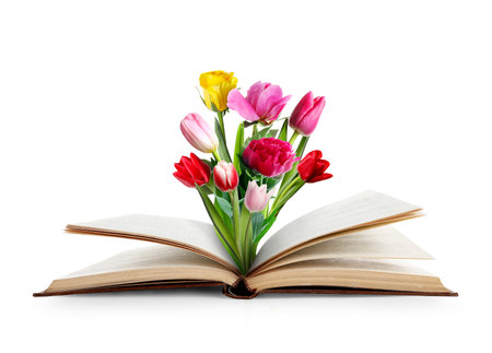 Open book with beautiful flowers between pages on white backgroundの写真素材
