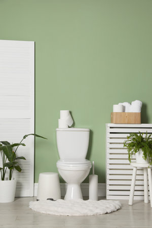 Folding screen, toilet bowl and houseplants in restroomの写真素材