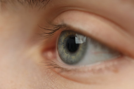 Macro view of young woman with beautiful eyesの写真素材
