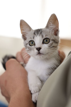 Man with cute kitten at home, closeup