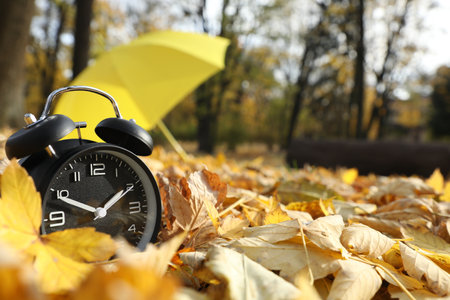 Alarm clock and yellow umbrella on dry leaves in park, closeup. Space for text
