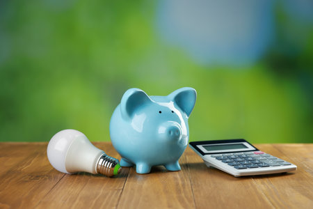 Piggy bank, calculator and light bulb on wooden table outdoors. Energy saving conceptの写真素材