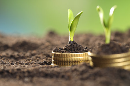 Stacks of coins with green plants on soil against blurred background, closeup and space for text. Money growth conceptの写真素材