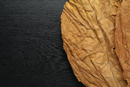 Dried tobacco leaves on black wooden table, top view. Space for textの写真素材
