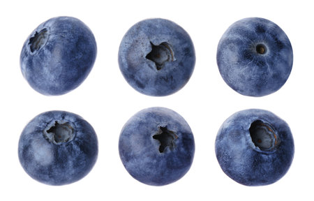 Fresh ripe blueberries isolated on white, setの写真素材