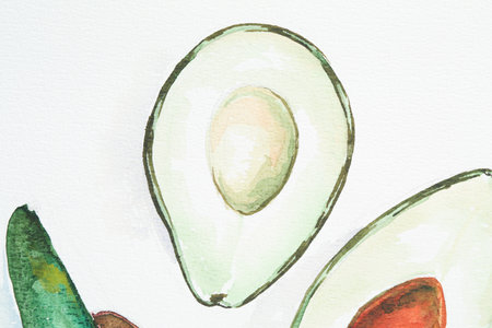 Watercolor painting of avocados on white paper, top viewの写真素材