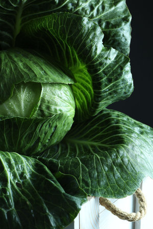 Whole ripe head of cabbage in crate on dark background, closeupの写真素材