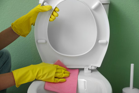 Woman cleaning toilet seat in restroom, closeupの写真素材