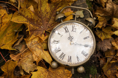 Autumn time. Vintage clock on fallen leaves in park, closeupの写真素材