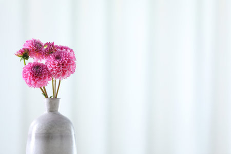 Beautiful pink flowers in vase against light background, closeup. Space for textの写真素材