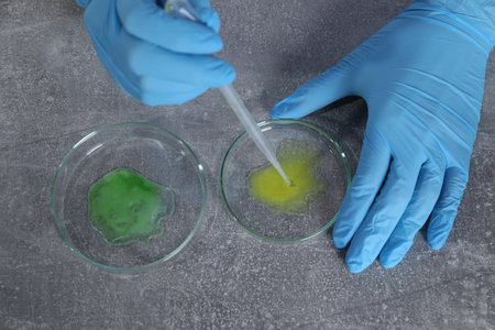 Laboratory testing. Scientist taking sample from petri dish at gray table, top view