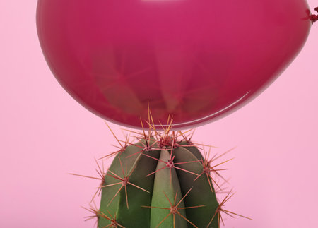 Prickly cactus on pink background, closeupの写真素材