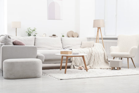 Light living room interior. Comfortable sofa with blanket and other furniture indoorsの写真素材