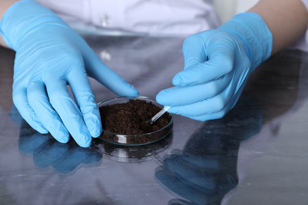 Laboratory testing. Scientist working with soil sample at table indoors, closeup