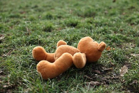 Brown teddy bear on green grass