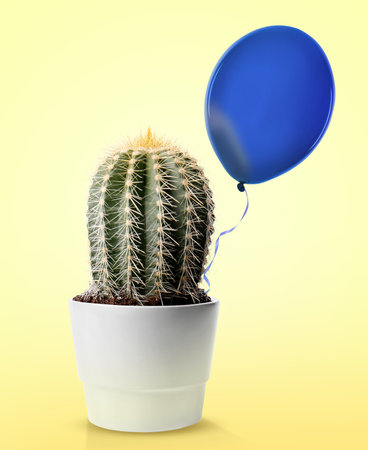 Prickly cactus and blue balloon on yellow backgroundの写真素材