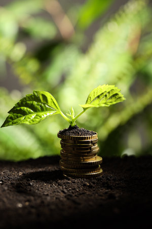 Money growth concept. Stack of coins and sprout in soil against blurred background, closeup. Space...