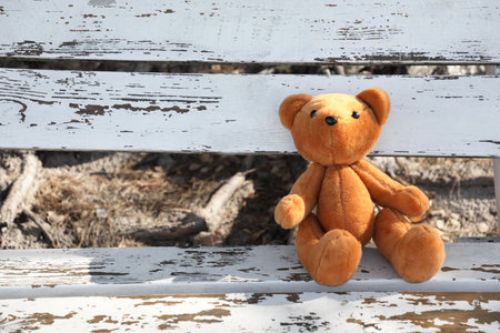Lonely teddy bear on bench in parkの写真素材