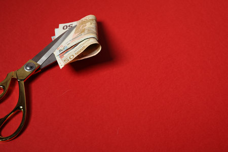 Euro banknotes and scissors on red background, space for text
