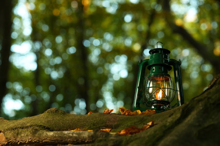 Vintage kerosene lamp near tree in forest at evening, space for textの写真素材