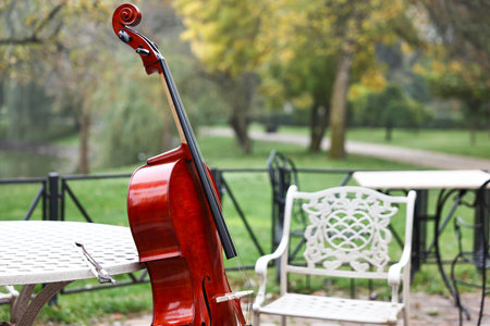 Beautiful cello near coffee table in park. Classic musical instrument