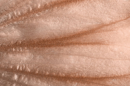 Flower petals in shade of mocha mousse, closeup.