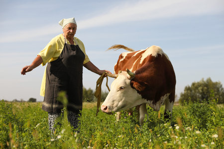 Senior woman with beautiful cow on pastureの写真素材