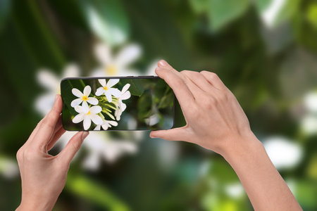 Woman taking photo of flowers outdoors, closeup