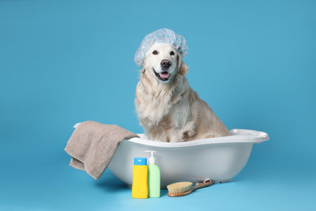 Cute funny dog with shower cap in small bathtub and other bath accessories on light blue backgroundの写真素材