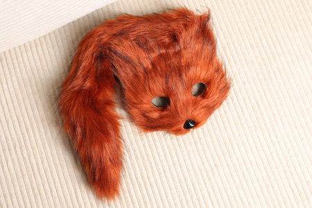 Quadrobics. Fox mask and tail on sofa, top viewの写真素材
