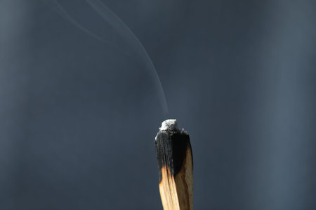 Smoldering stick against grey background, closeupの写真素材