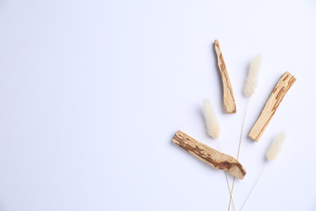 Palo santo sticks and dry spikes on white background, flat lay. Space for textの写真素材
