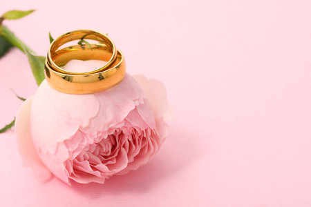 Golden wedding rings and flower on pink background, closeup. Space for textの写真素材