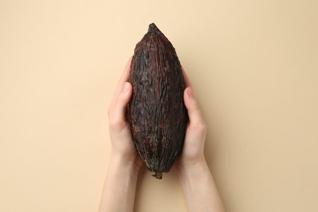 Woman with cocoa pod on beige background, top viewの写真素材