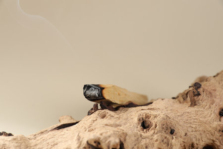 Smoldering stick and snag on beige background, closeup. Space for textの写真素材