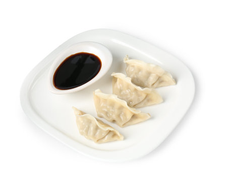 Tasty gyoza (dumplings) and soy sauce isolated on whiteの写真素材