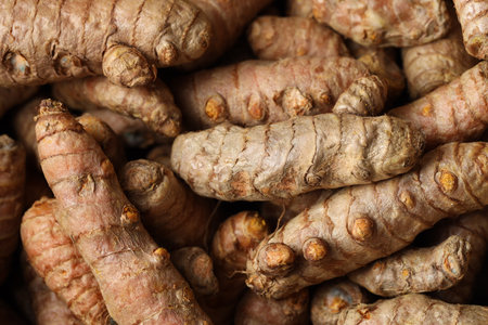 Many fresh turmeric roots as background, above viewの写真素材