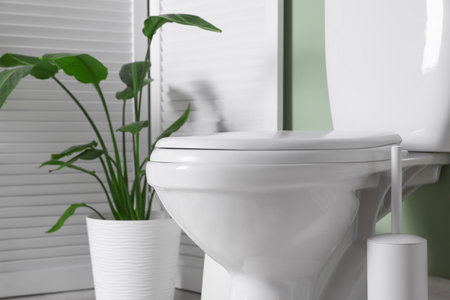 Folding screen, toilet bowl and houseplant in restroom, closeupの写真素材