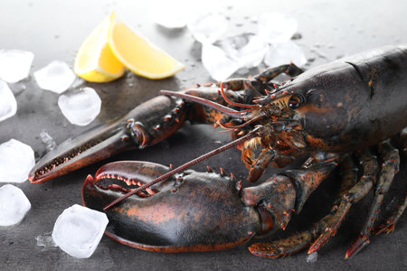 Raw lobster, ice cubes and slices of lemon on gray textured table, closeupの写真素材