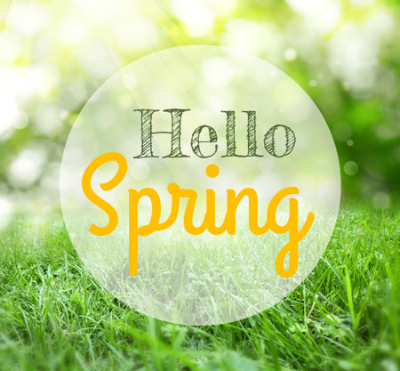 Hello Spring. Vibrant lush green grass on sunny day, bokeh effect