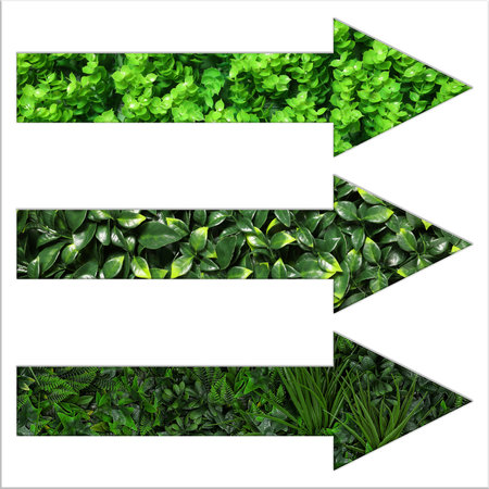 Arrows with green leaves of different plants inside isolated on white