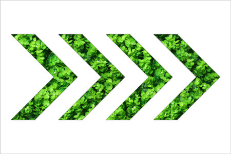 Arrow with green leaves inside isolated on white