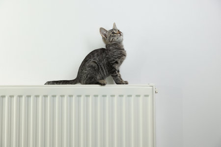 Cute little kitten on radiator near white wallの写真素材