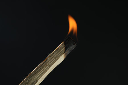 Burning palo santo stick against black background, closeupの写真素材