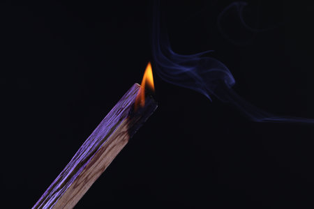 Burning palo santo stick against black background, closeup