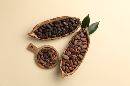 Cocoa pods with beans on beige background, flat layの写真素材