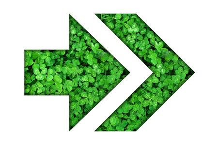 Arrow with green clover plants inside isolated on white
