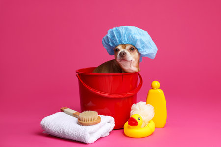 Cute funny dog with shower cap and different accessories for bathing on pink backgroundの写真素材