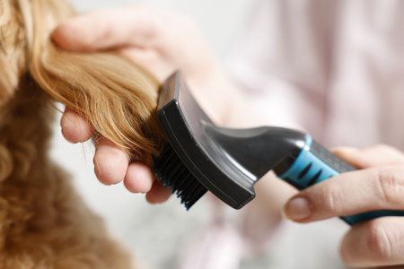 Woman brushing dog's hair against blurred background, closeup. Pet groomingの写真素材