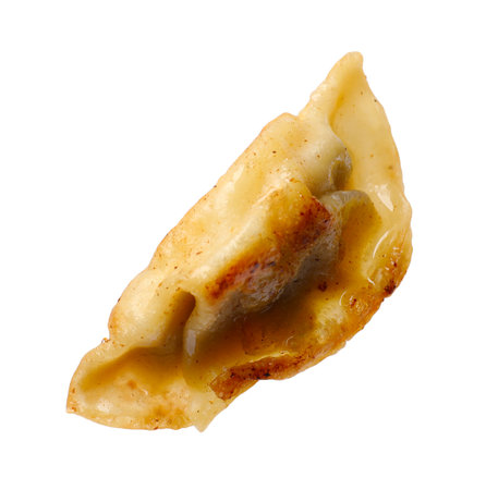 One fried gyoza dumpling isolated on whiteの写真素材